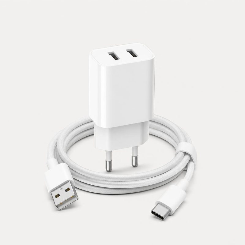 Dual 65W Fast Charger