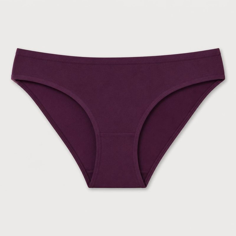 Bikini Brief – Plum